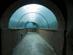 tunnel aquatique