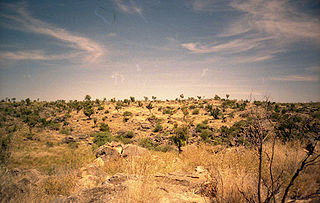 Sites fossilifères de mammifères d'Australie