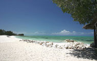 Visiter les Bahamas