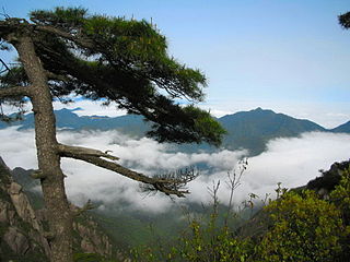 Parc national du mont Sanqingshan