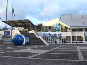 Nausicaa aquarium