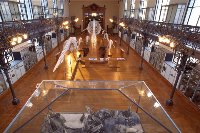 Musée océanographique