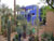 Jardin de Majorelle