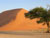 Dunes de Sossusvlei