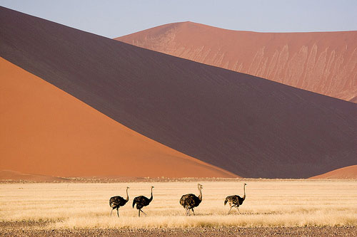 dunes Namibie