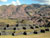 Ruines de Saqsayhuaman