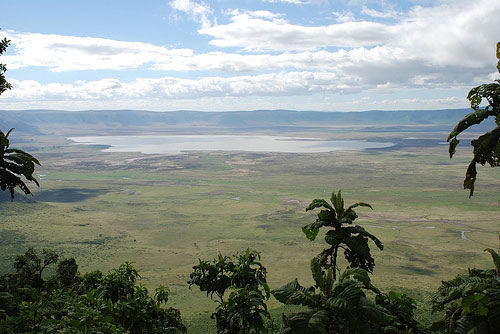 cratère du Ngorongoro